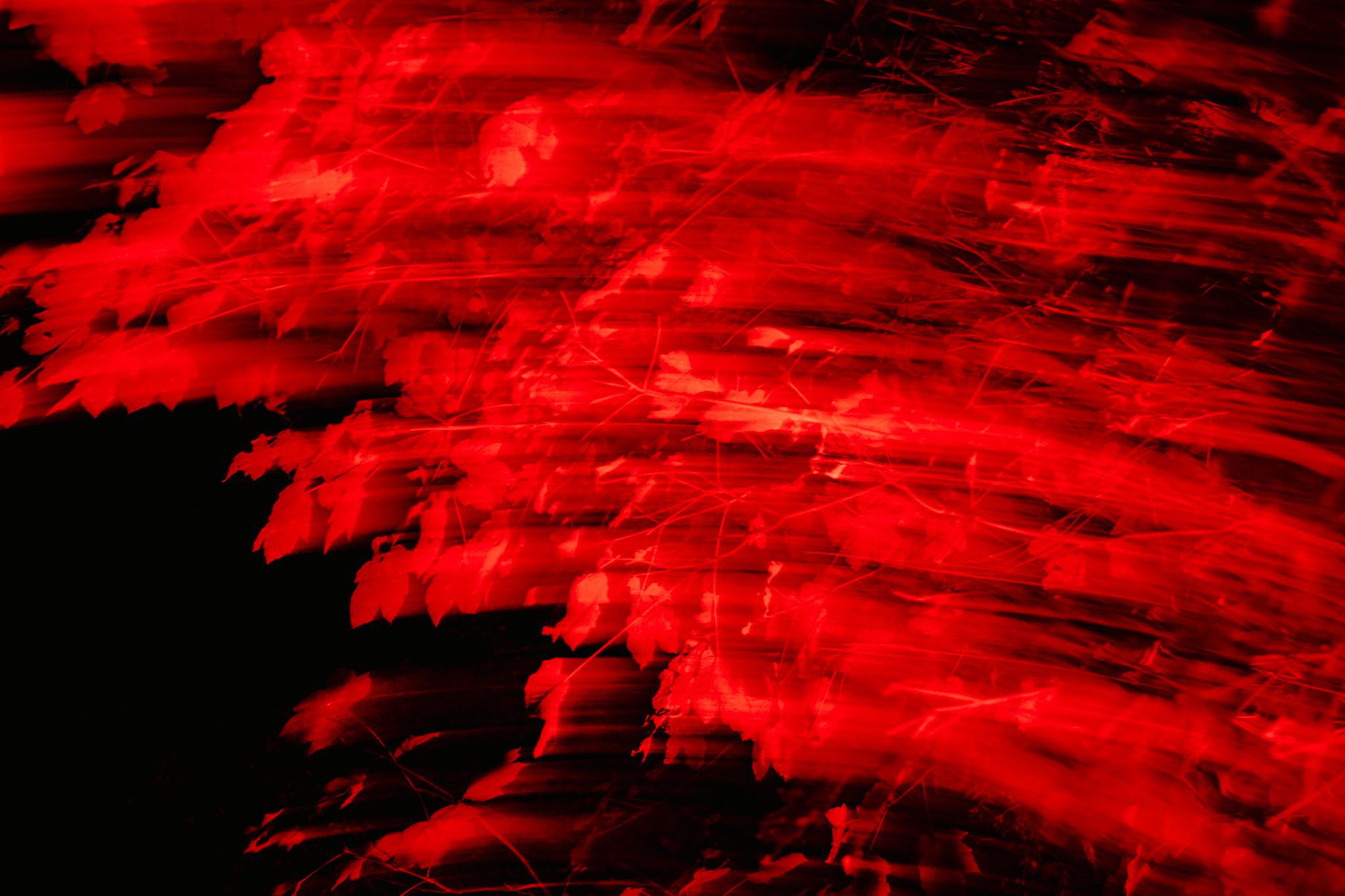 R0007965